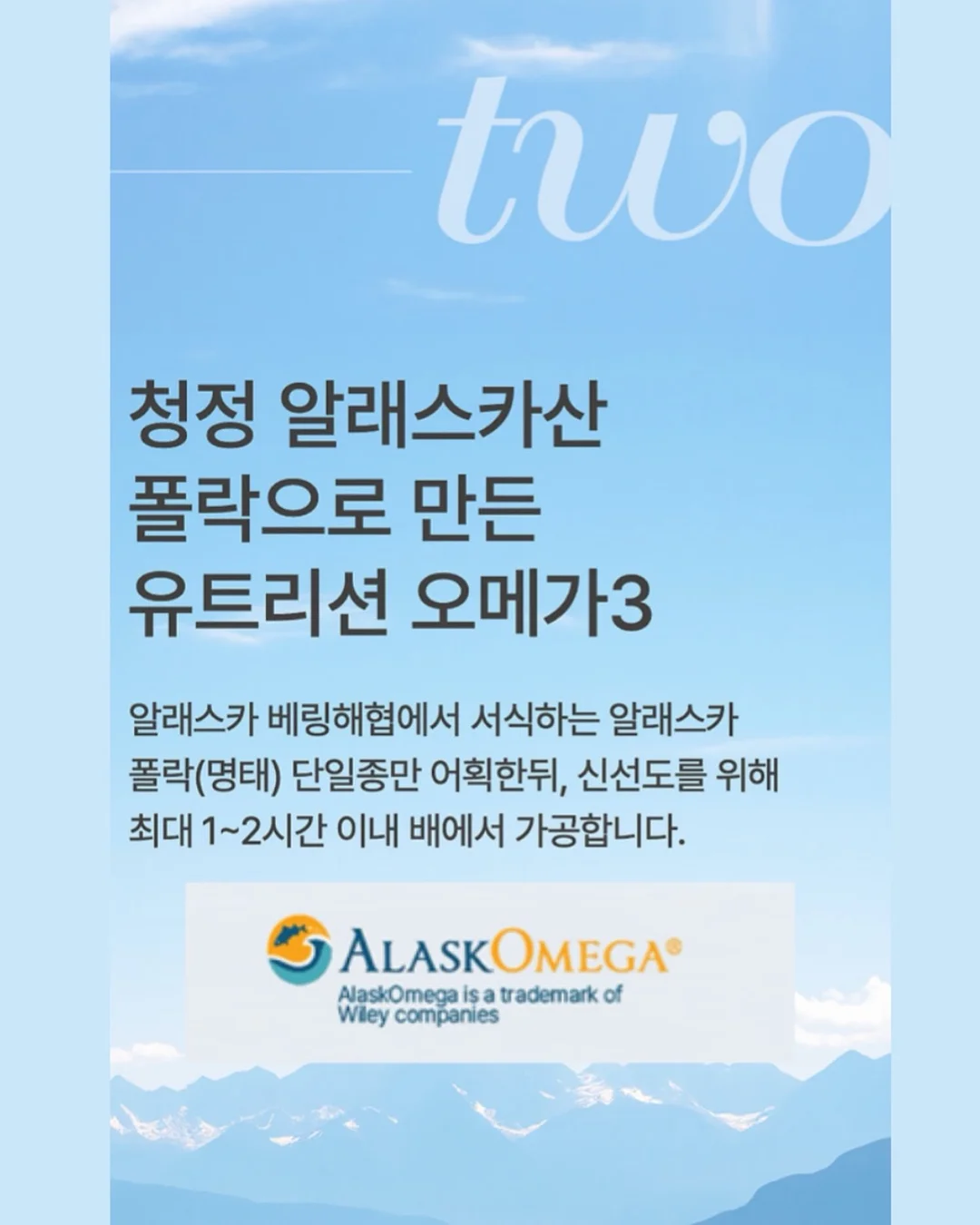 믹싱볼 거치랙 8
