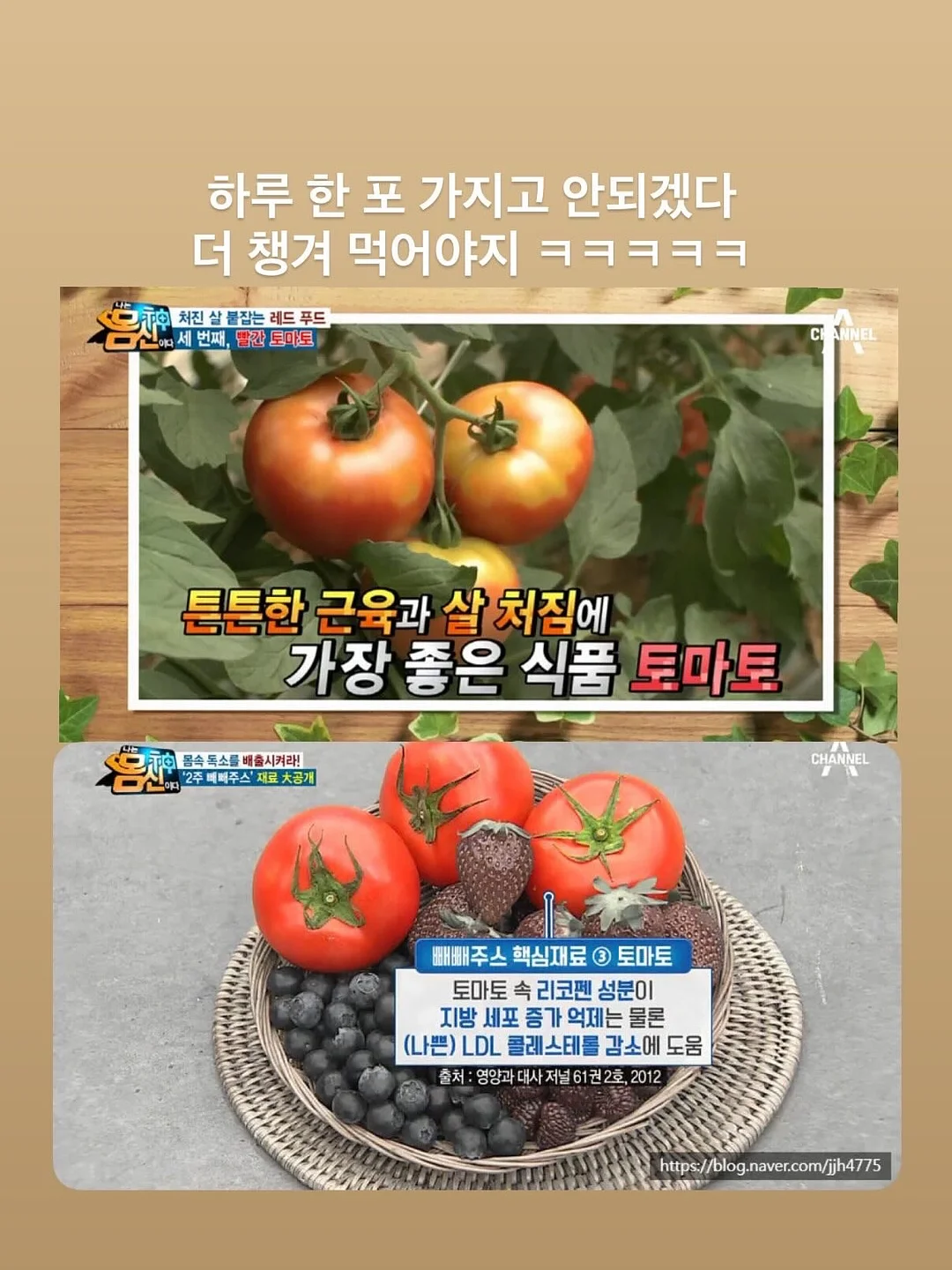 갈레트 브루통 4종 개인클래스 6