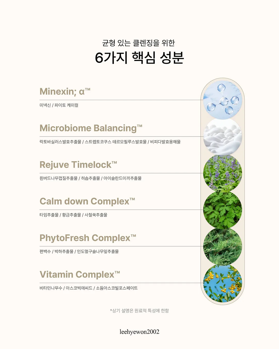 버뮤다 팬츠 2