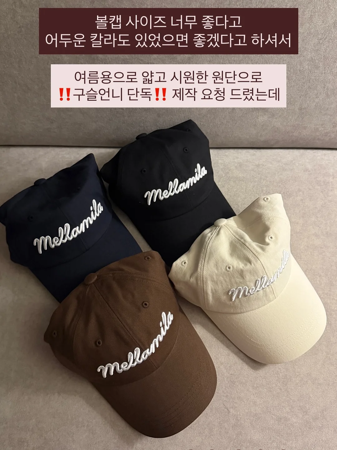 강아지 케이크, 간식 1