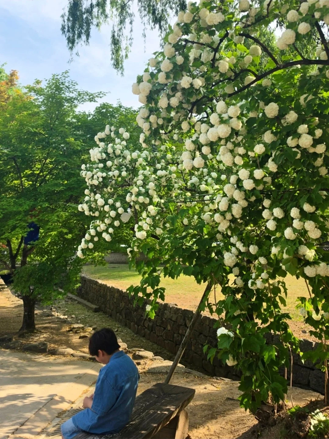 깜짝 크리스마스 랜덤팩 19