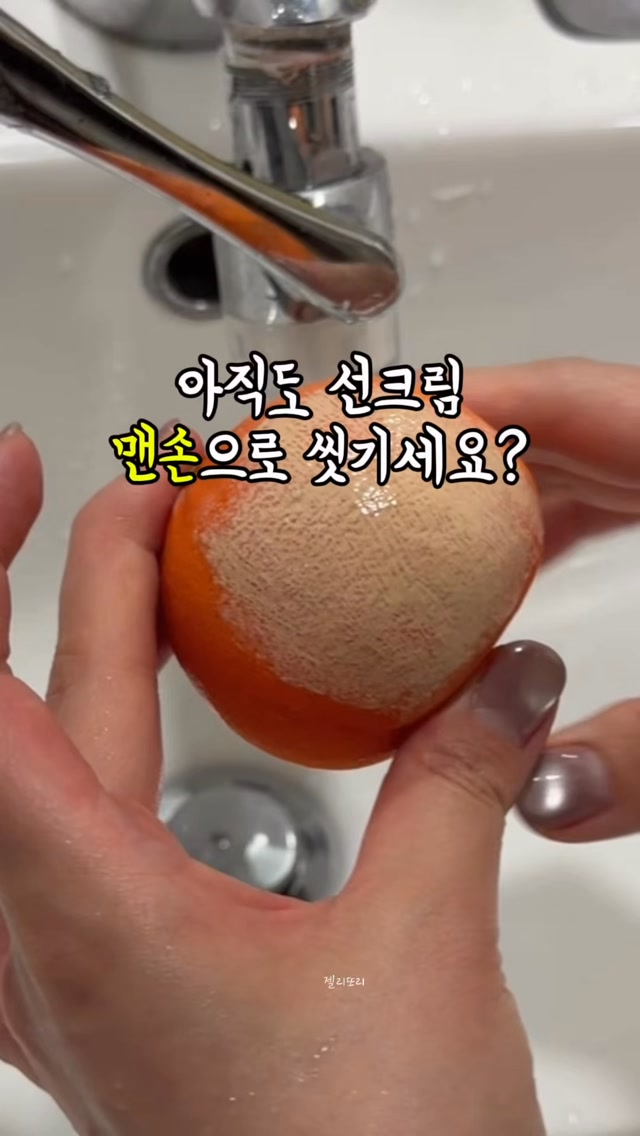 올리브나무