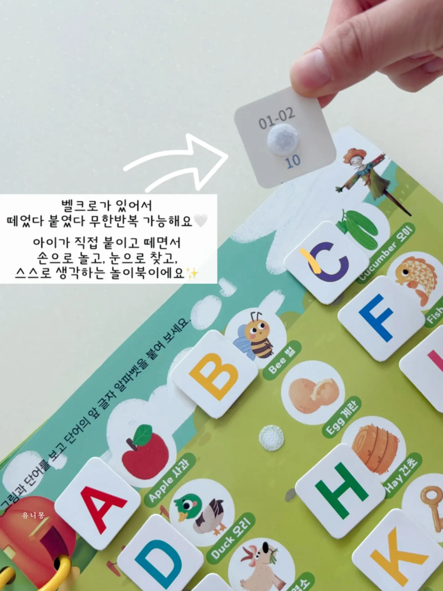 탈라 망고팩 3