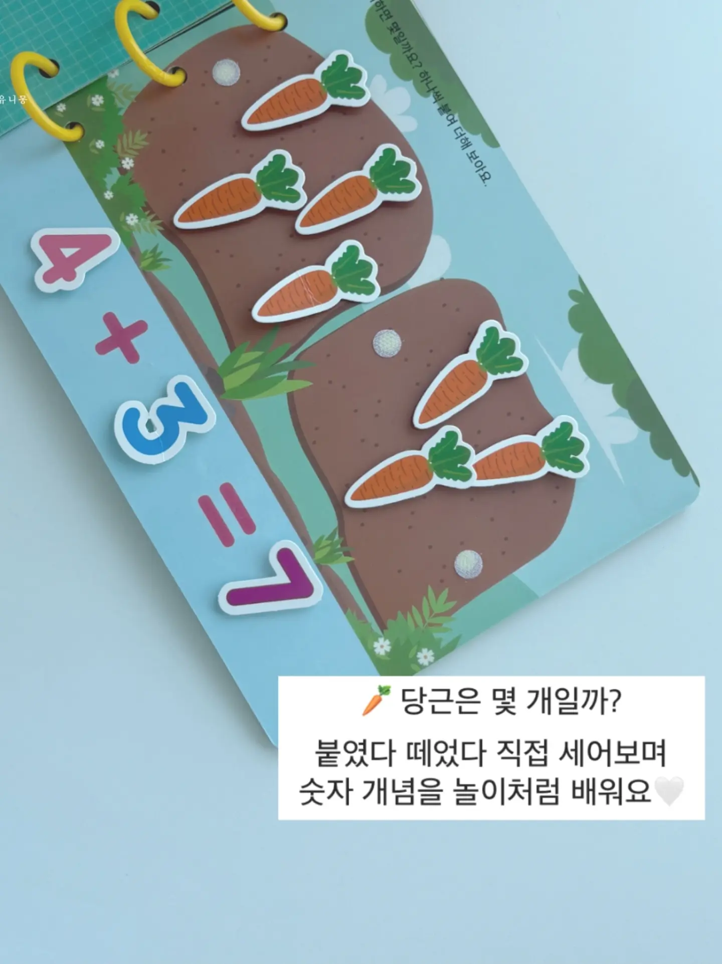 탈라 망고팩 4