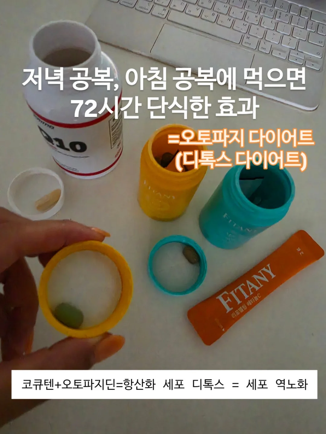 카프리 팬츠 1