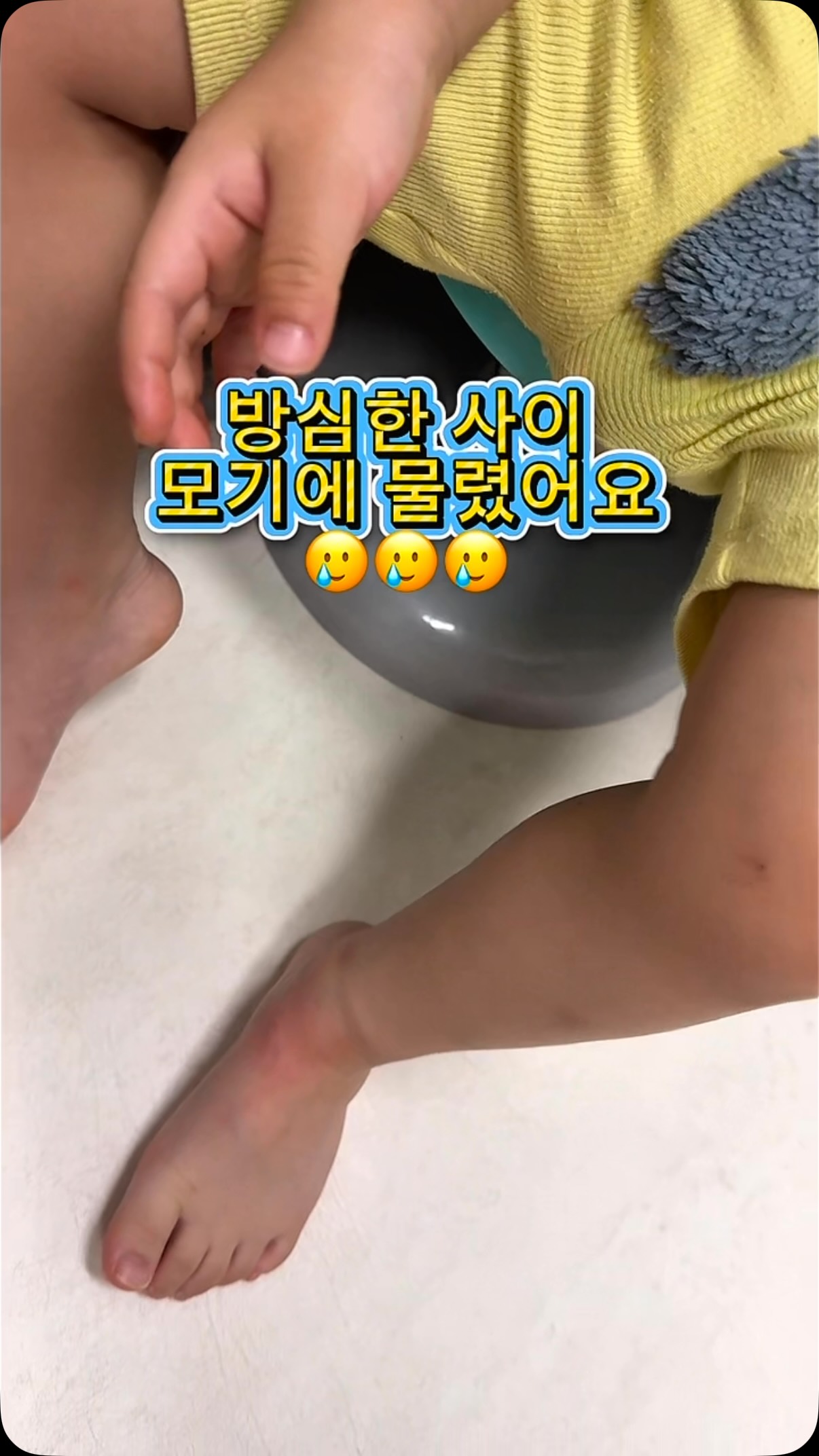 플랑, 파이, 케이크파이, 쿠키