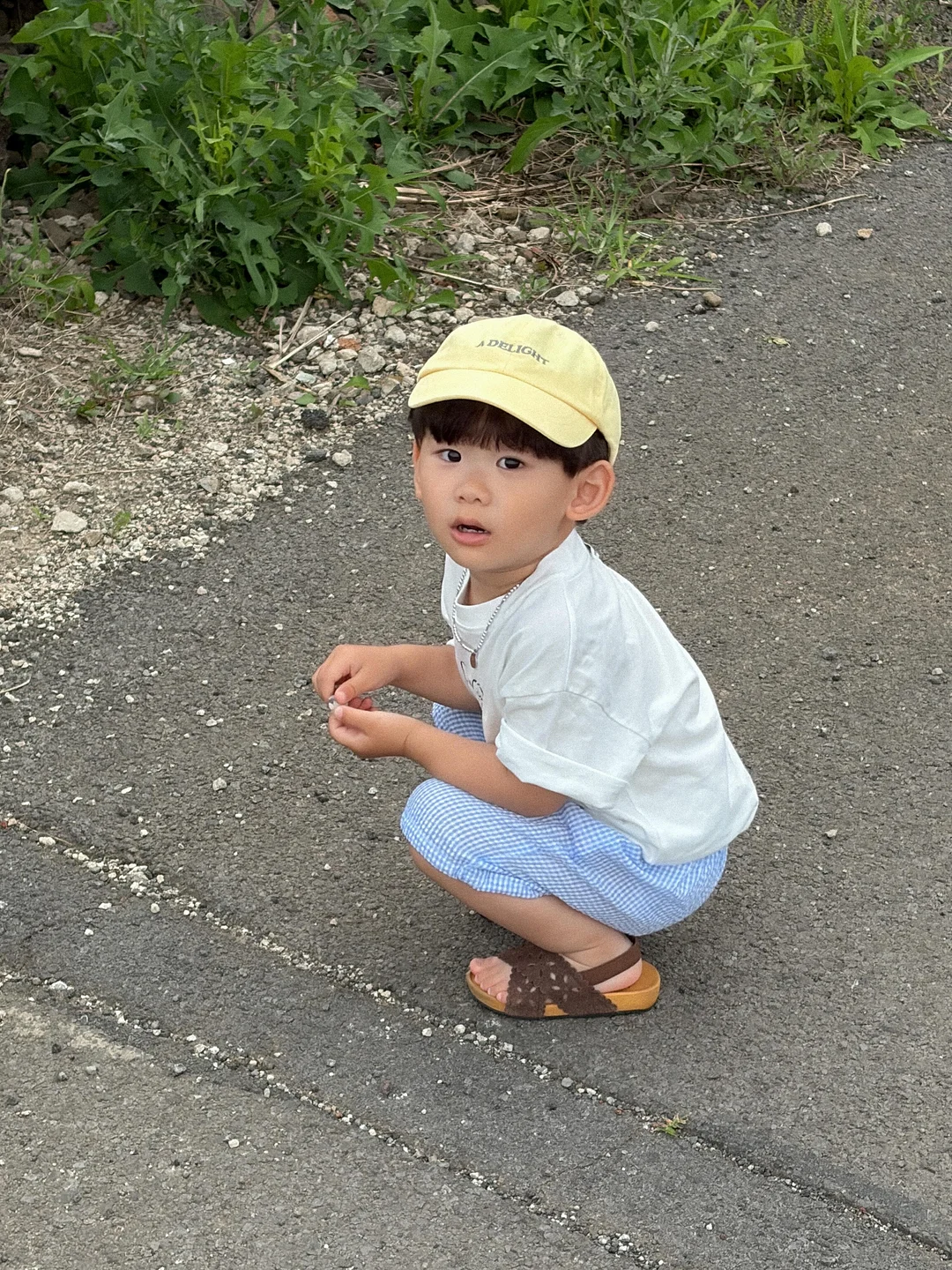 천연 랩 12