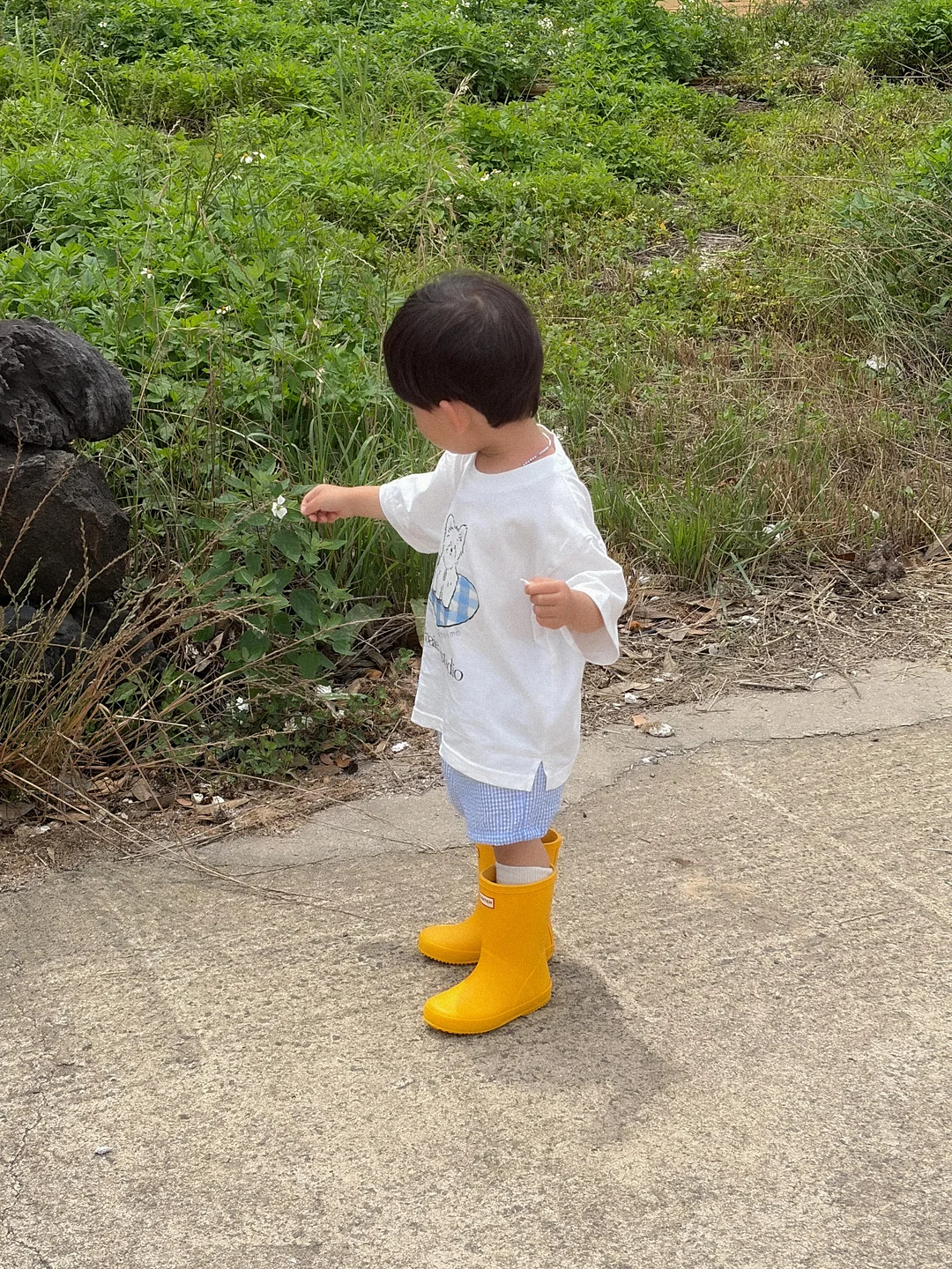 천연 랩 7