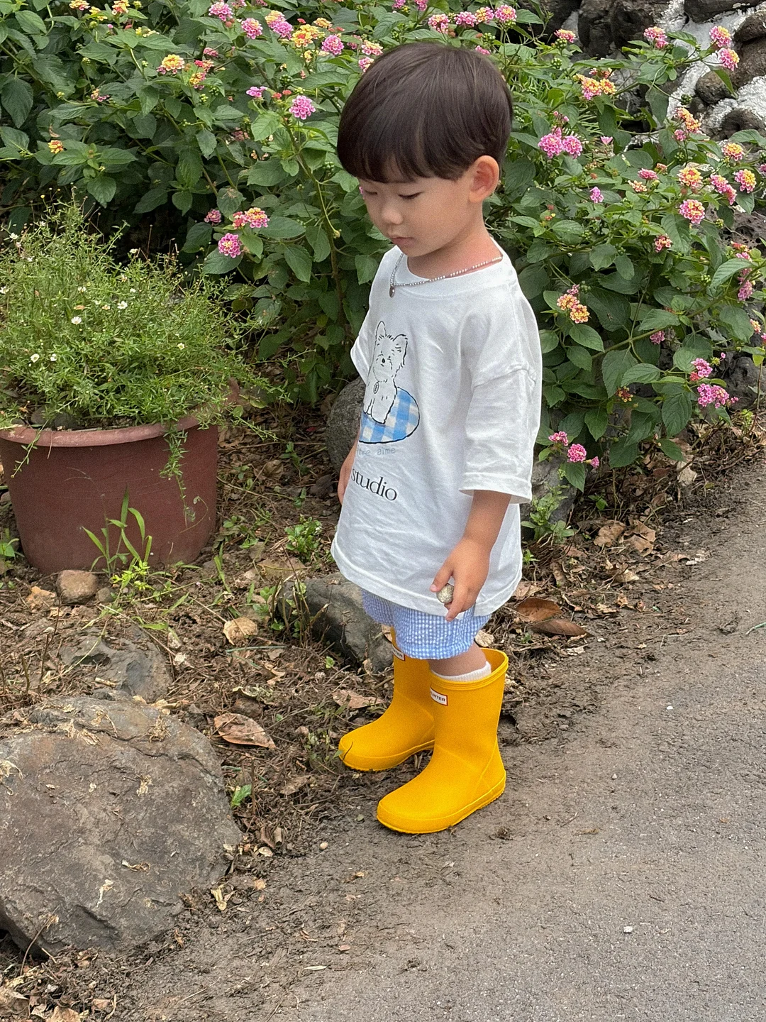 천연 랩 10