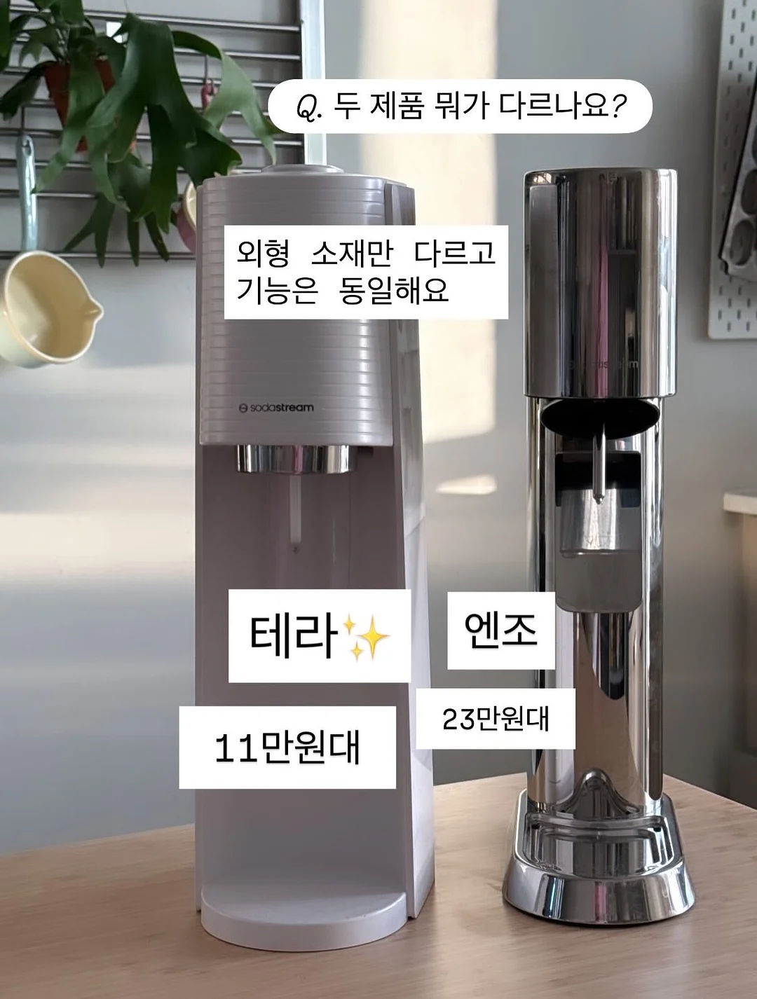 미니봉봉 여름 신상 7