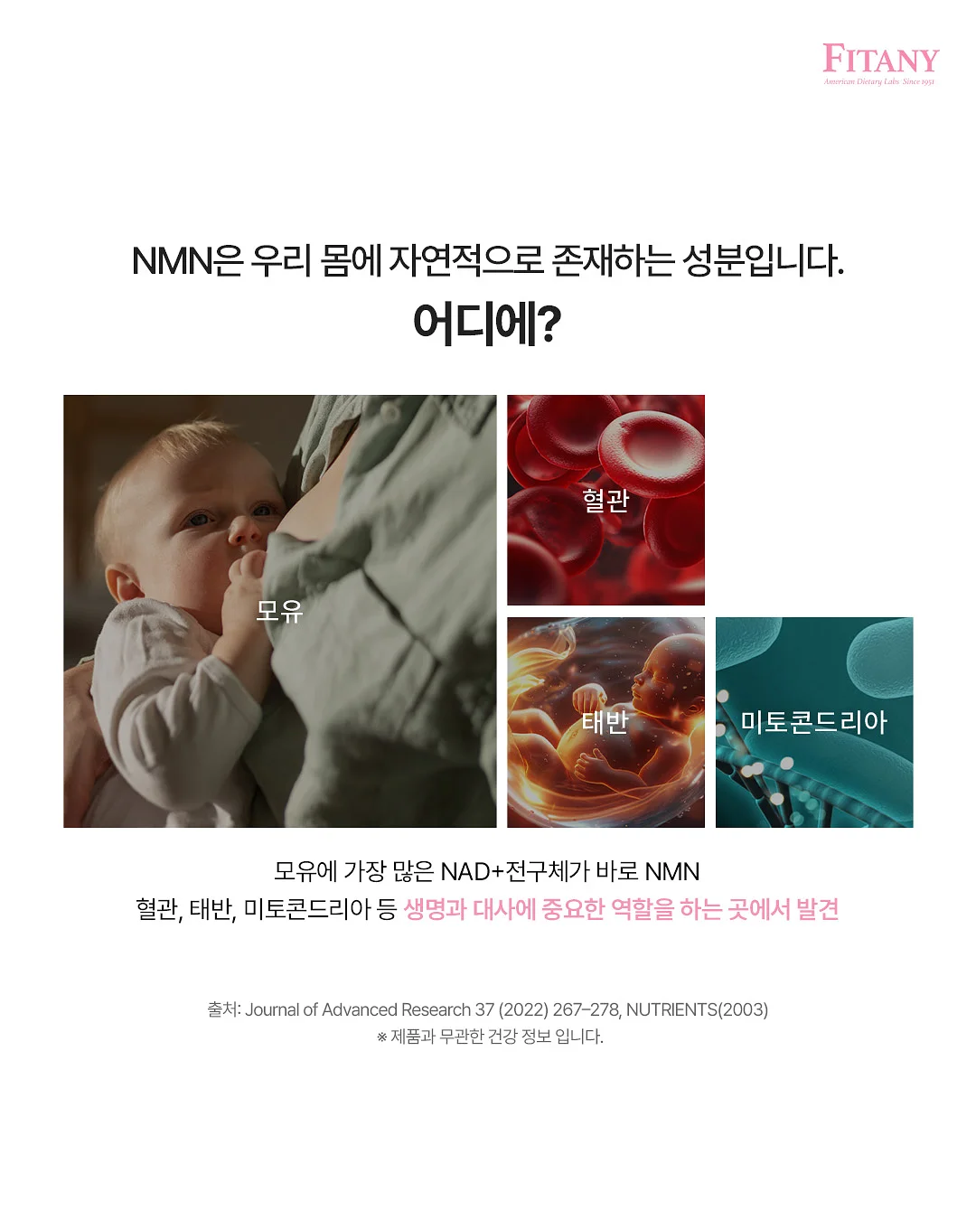 도저 엑스트라버진 아보카도오일 2