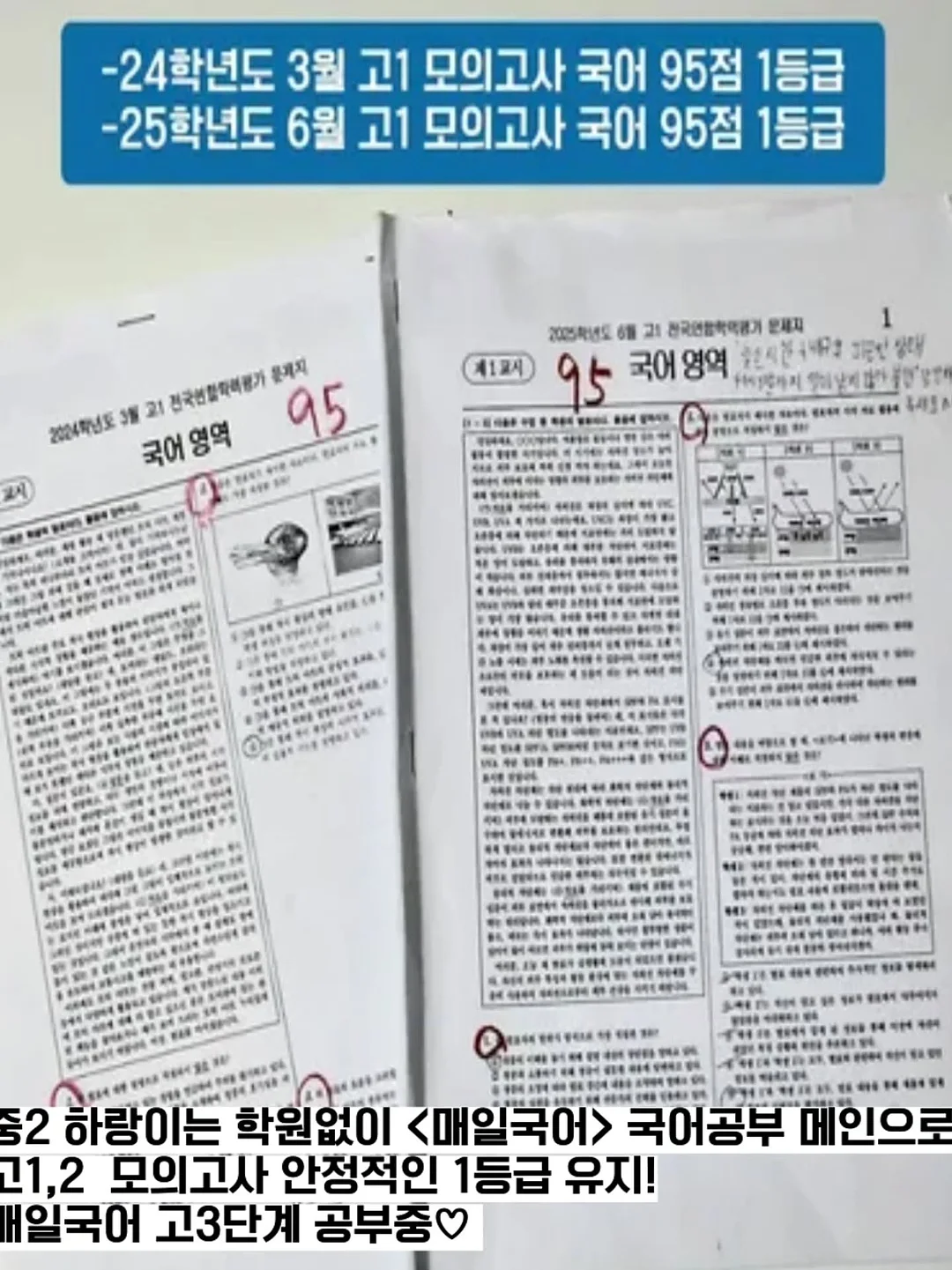 투피스 세트 6