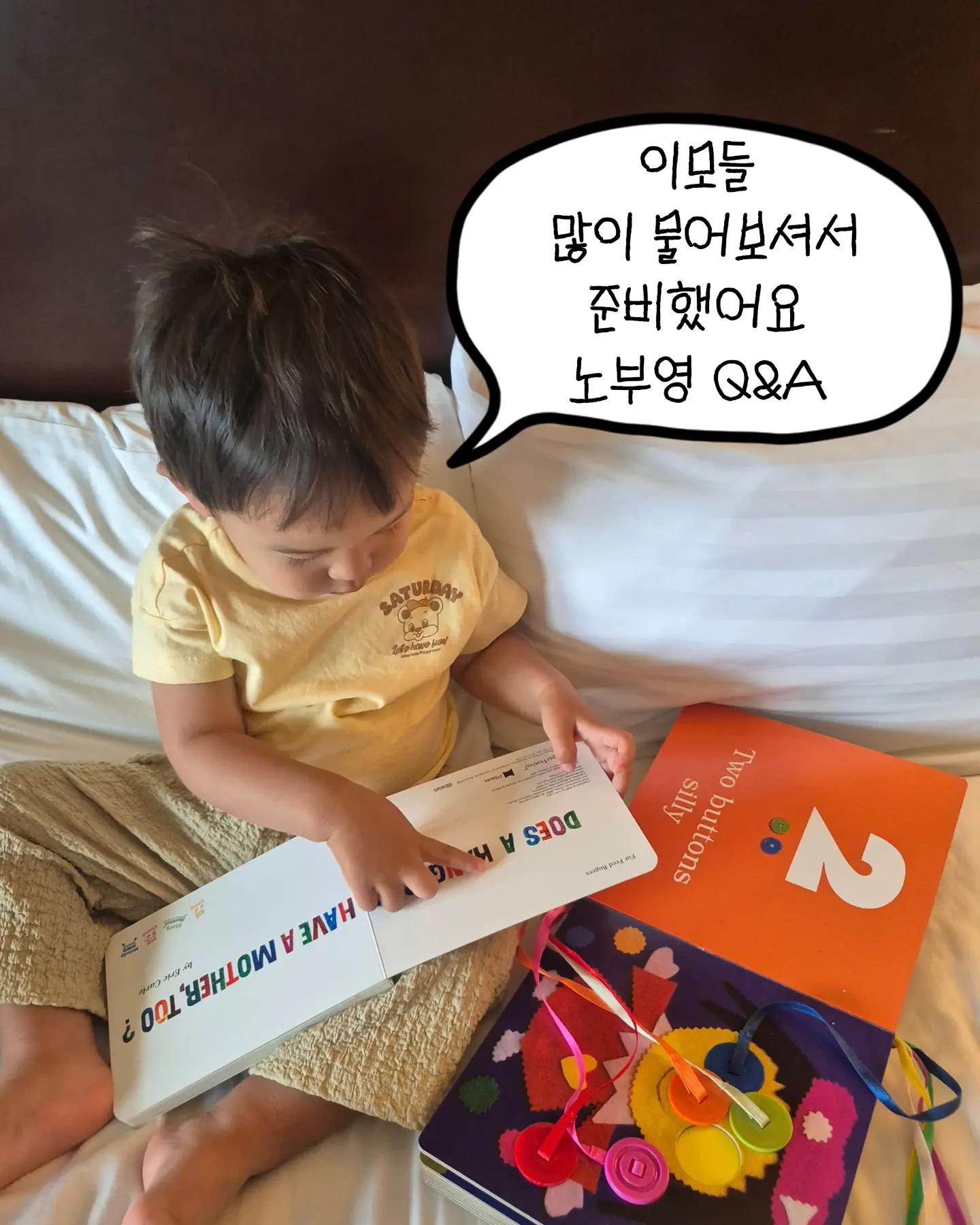 라미네이트 1