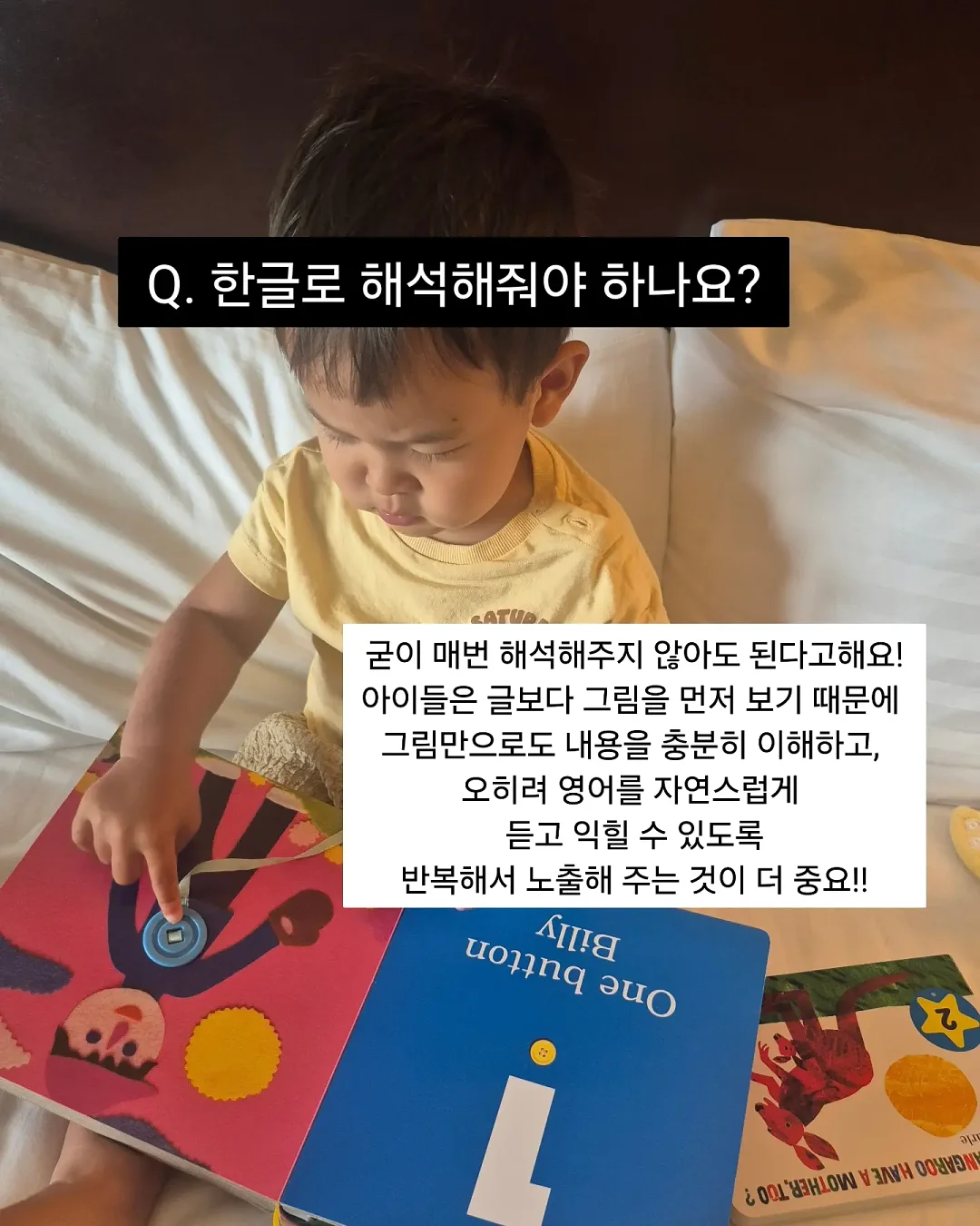 라미네이트 5