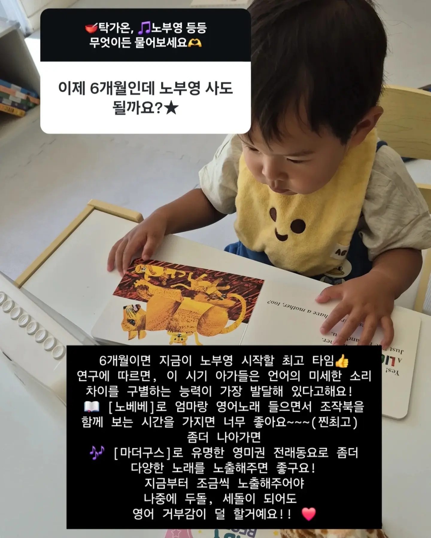 라미네이트 10