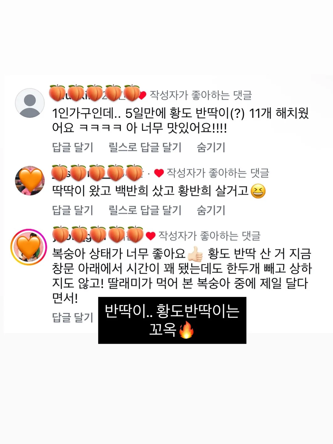 나트랑 골프 패키지 2