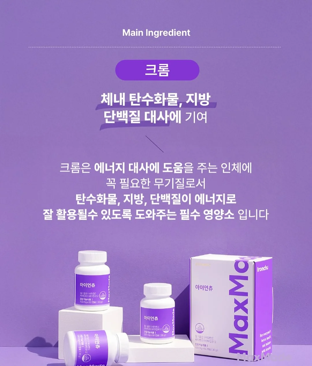 프로필 사진 촬영 14