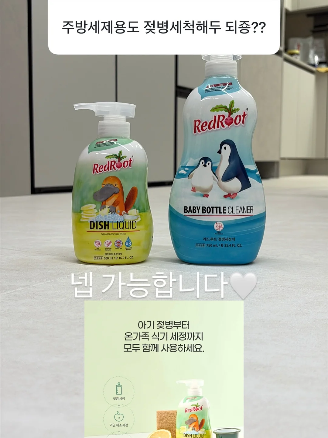 아코디언파일 19