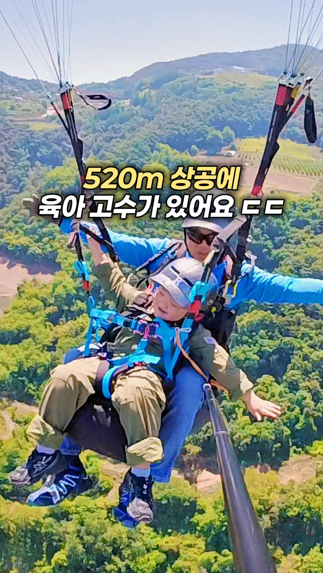 신진도 생물 오징어