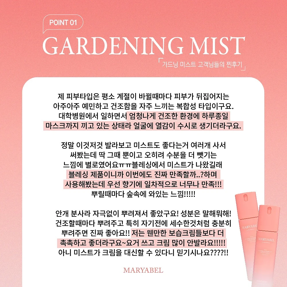 양배추전 2