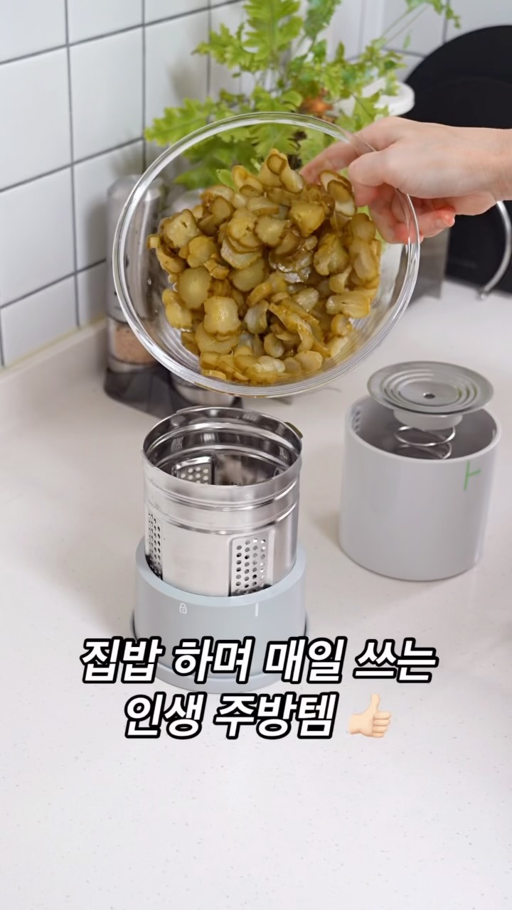 그레이스제이 팝업 익스클루시브 라인업