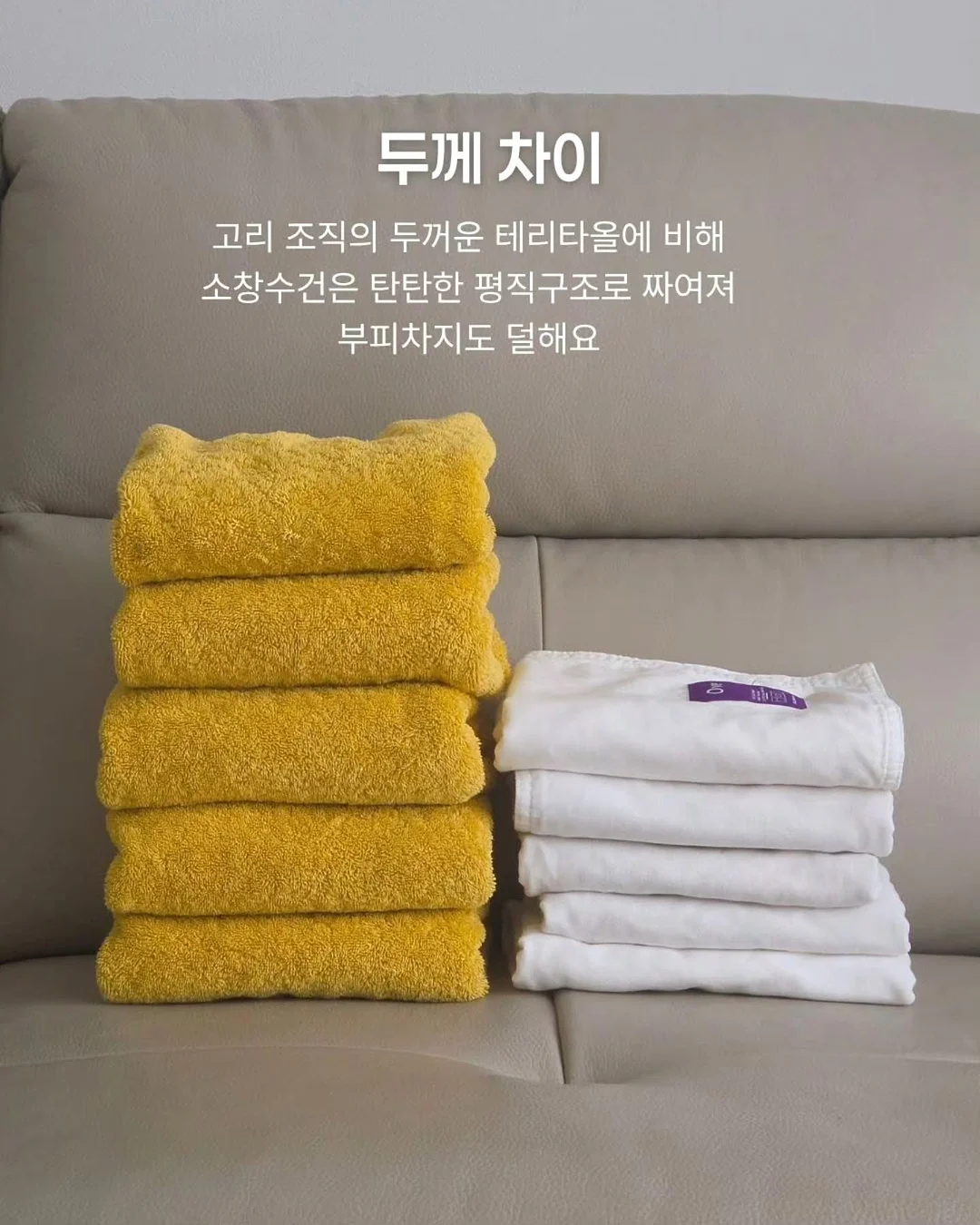 도시농장 무지개망고 6