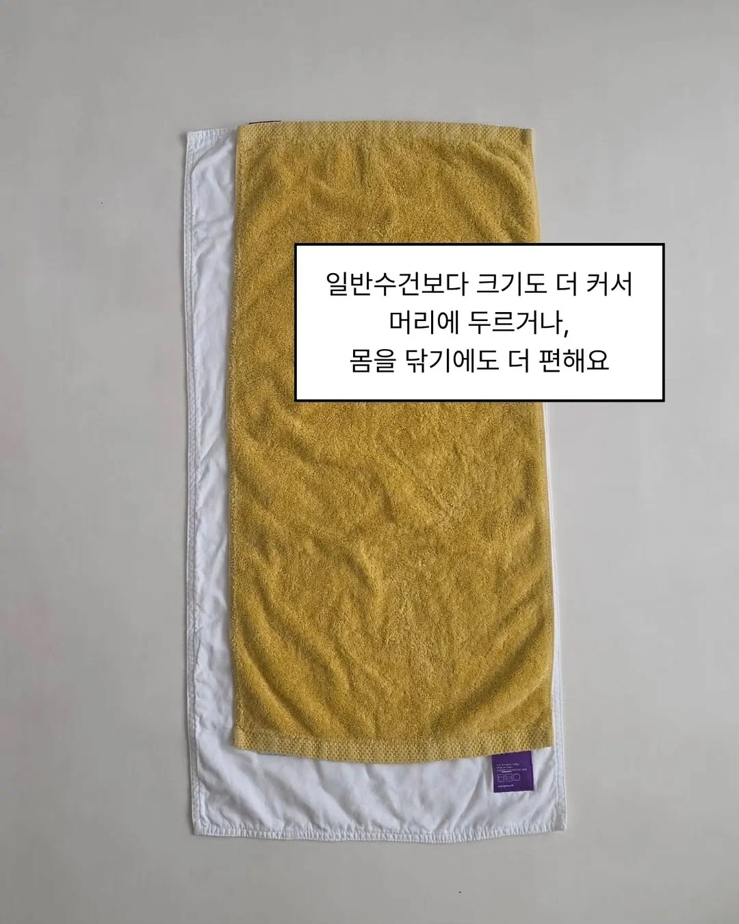 도시농장 무지개망고 8