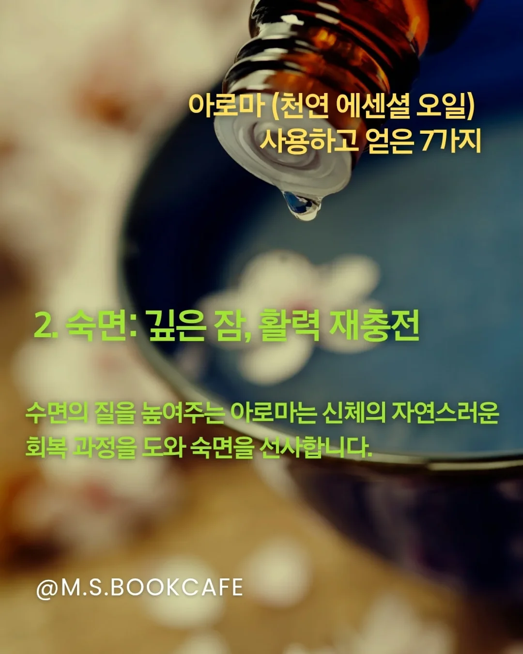 키티 크록스 5