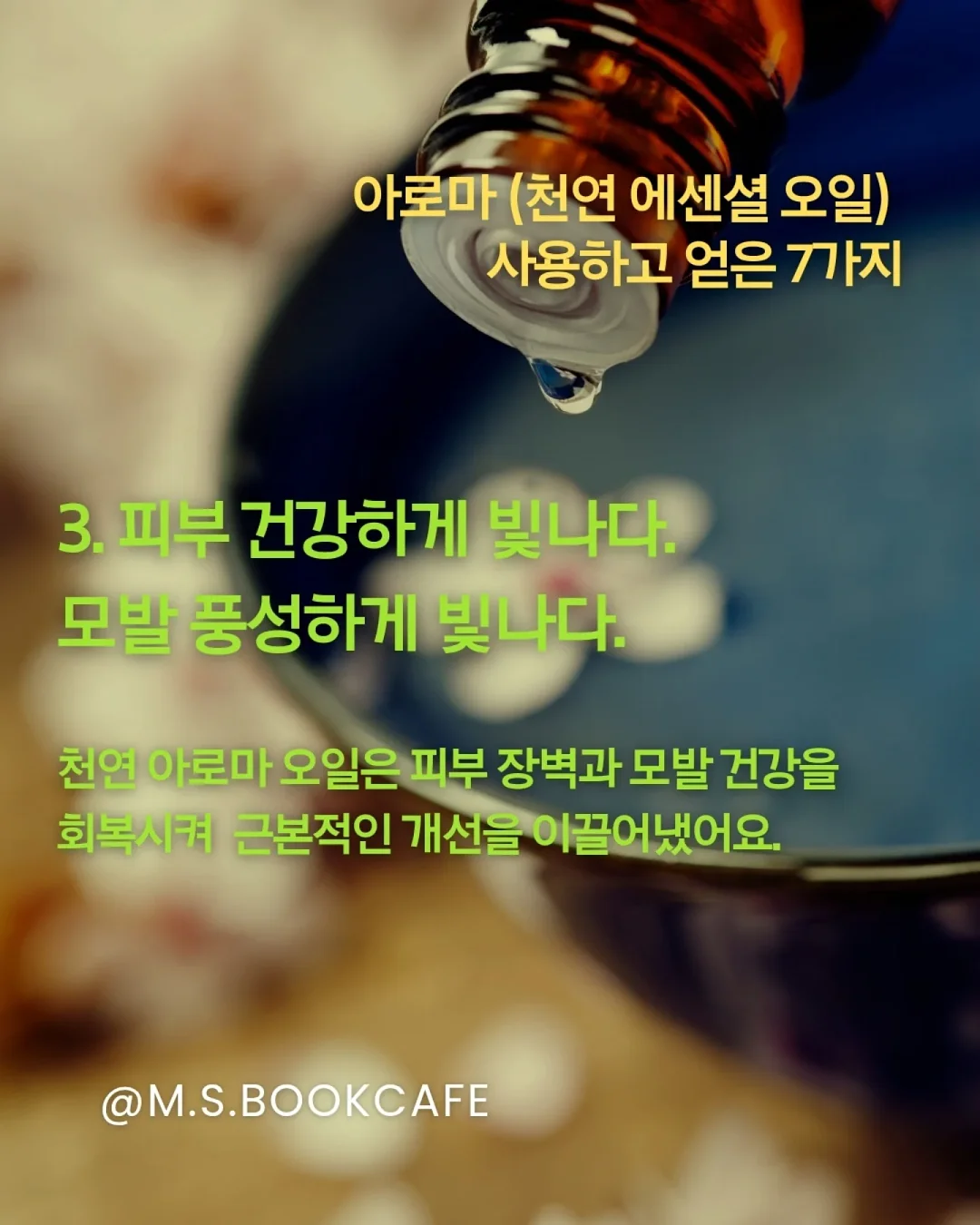 키티 크록스 6