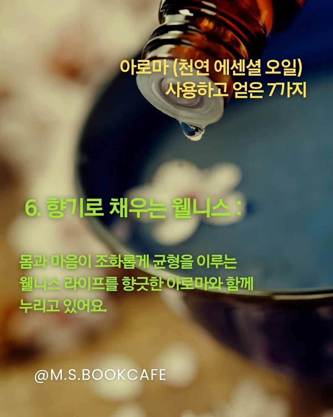 키티 크록스 9