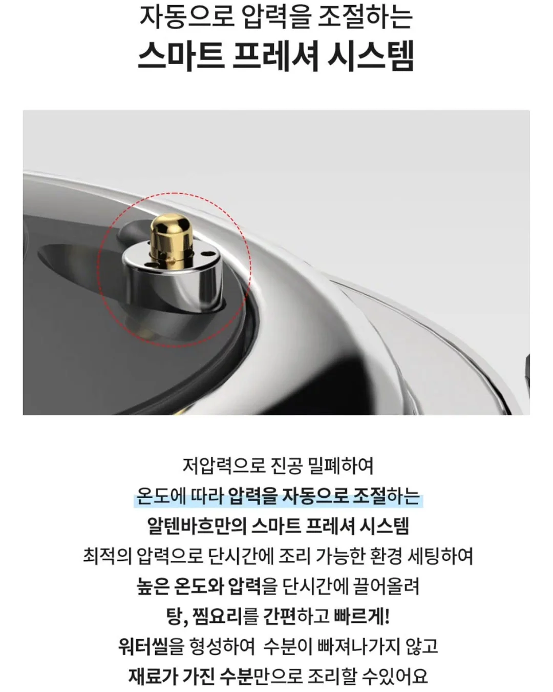 양파 조합 5