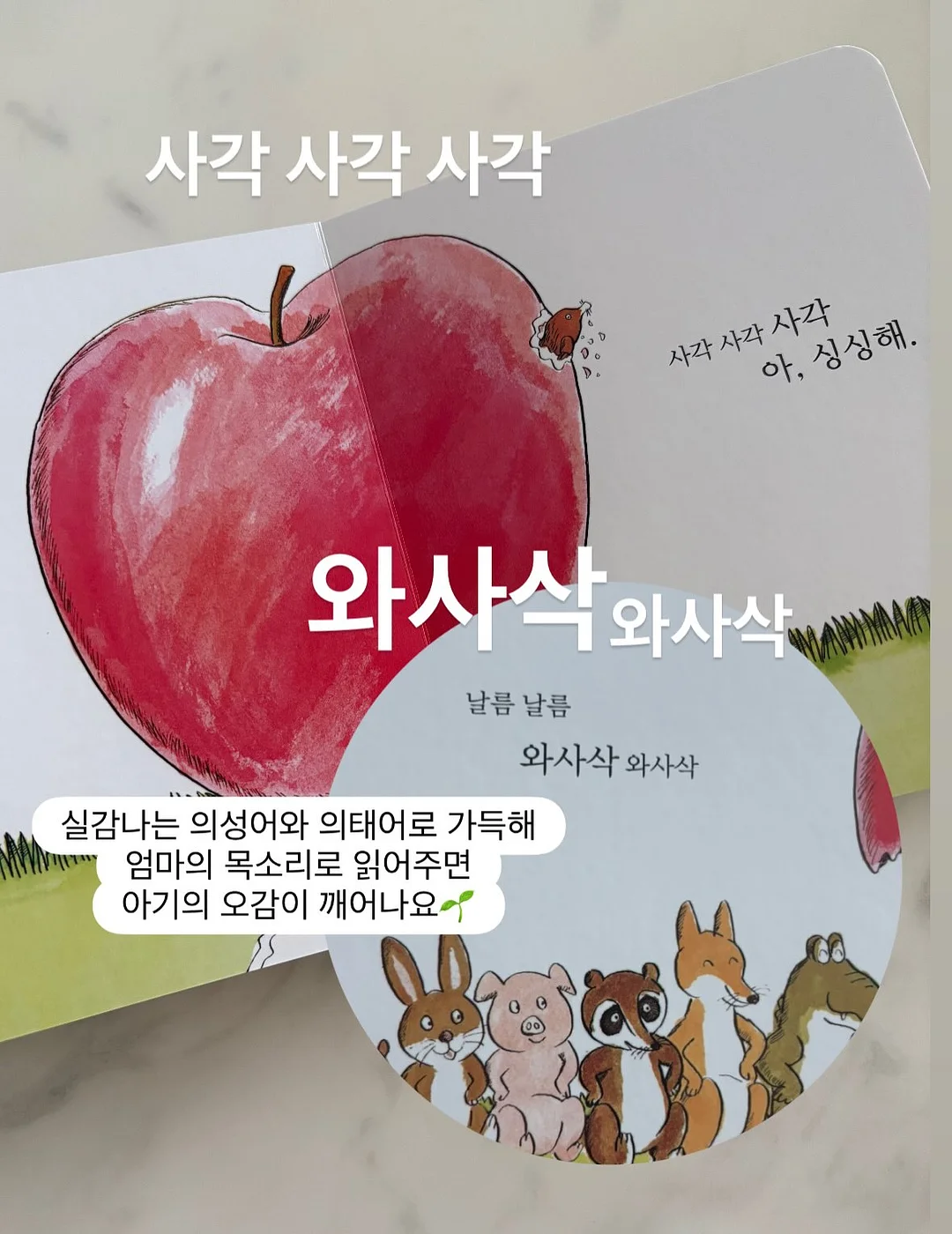 키즈&주니어 수영복 6