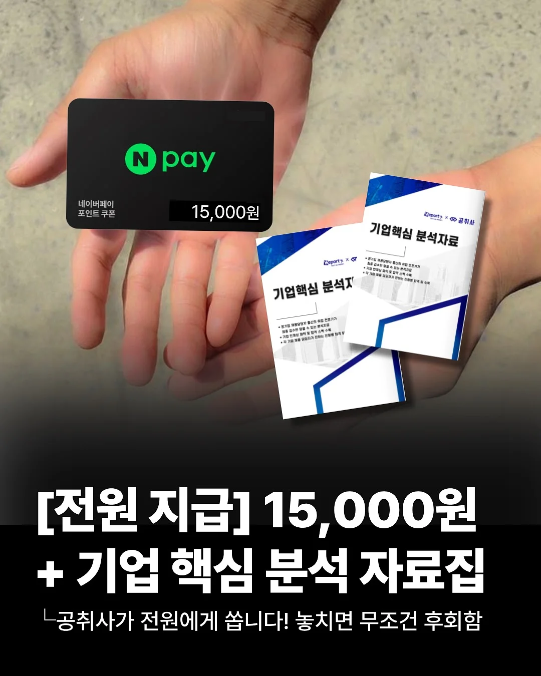 서양란 1