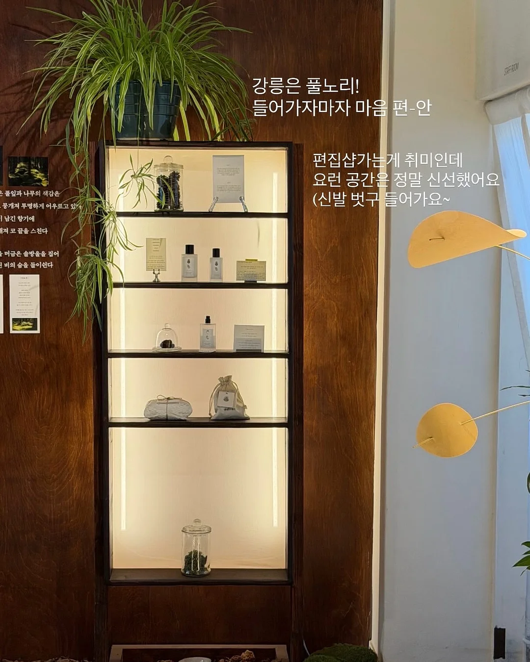 클레이크림 플라워 전문가반 6