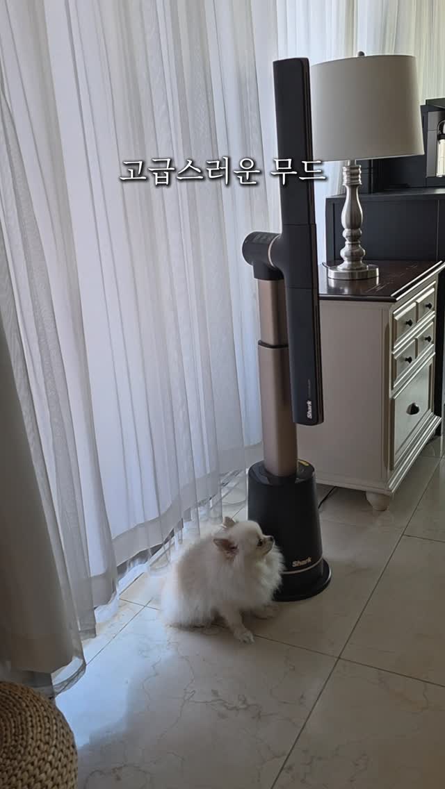 앱솔루트 홀리스틱 에어드라이 사료