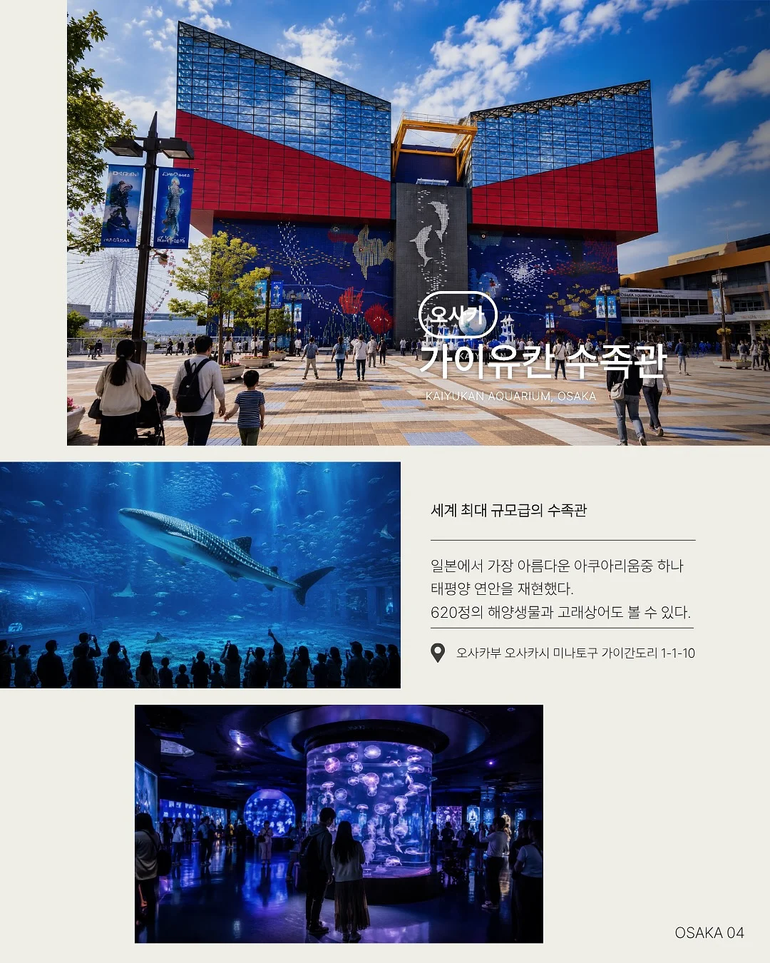 고구마 우동 & 승마 체험 패키지 5