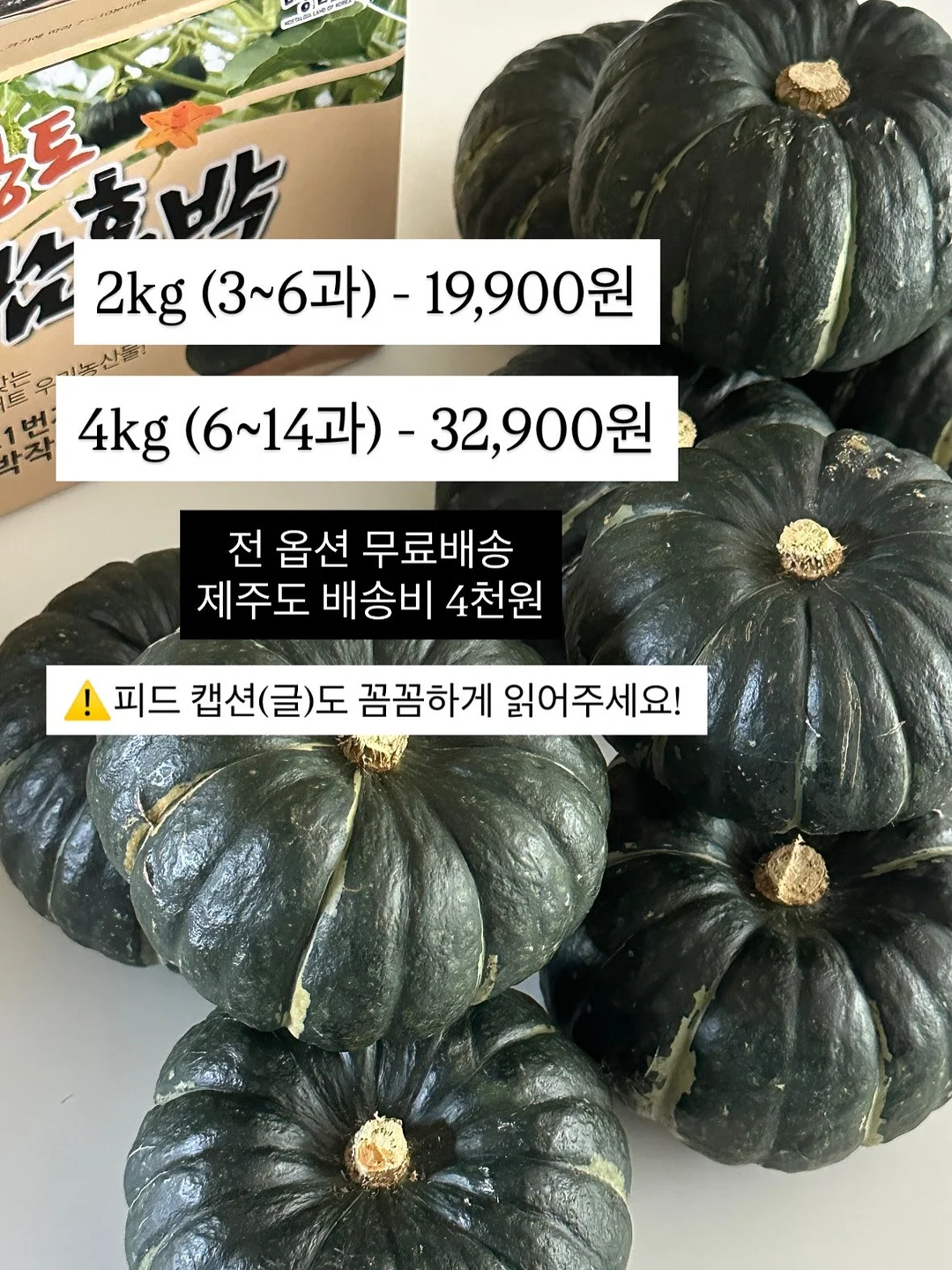몽키버니 스윗드림 18