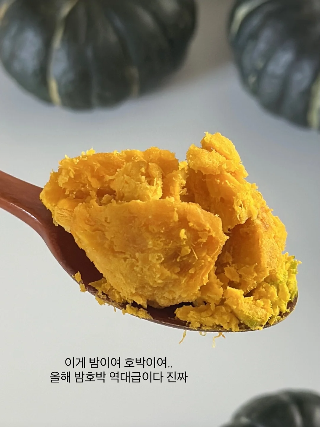 몽키버니 스윗드림 20