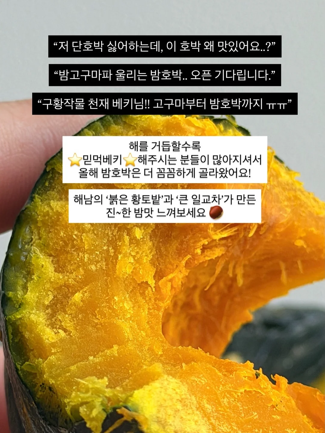 몽키버니 스윗드림 3