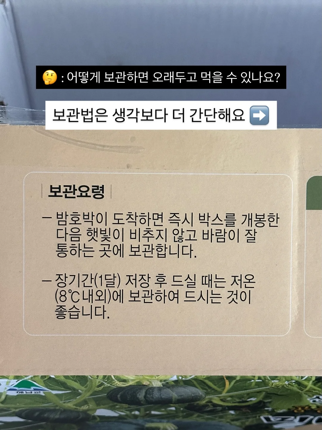 몽키버니 스윗드림 7