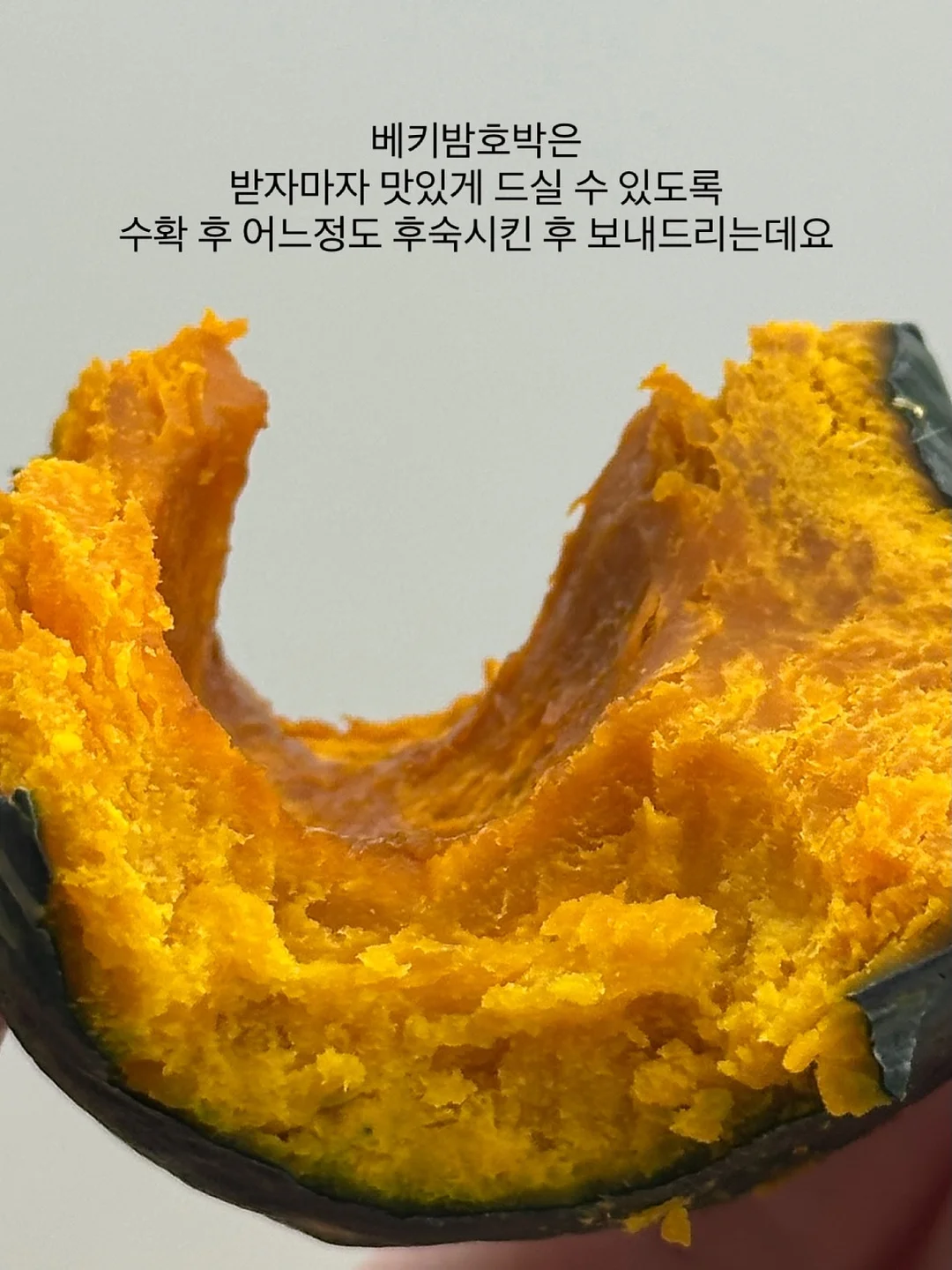 몽키버니 스윗드림 8