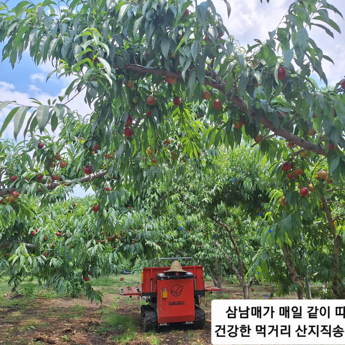 칼 4