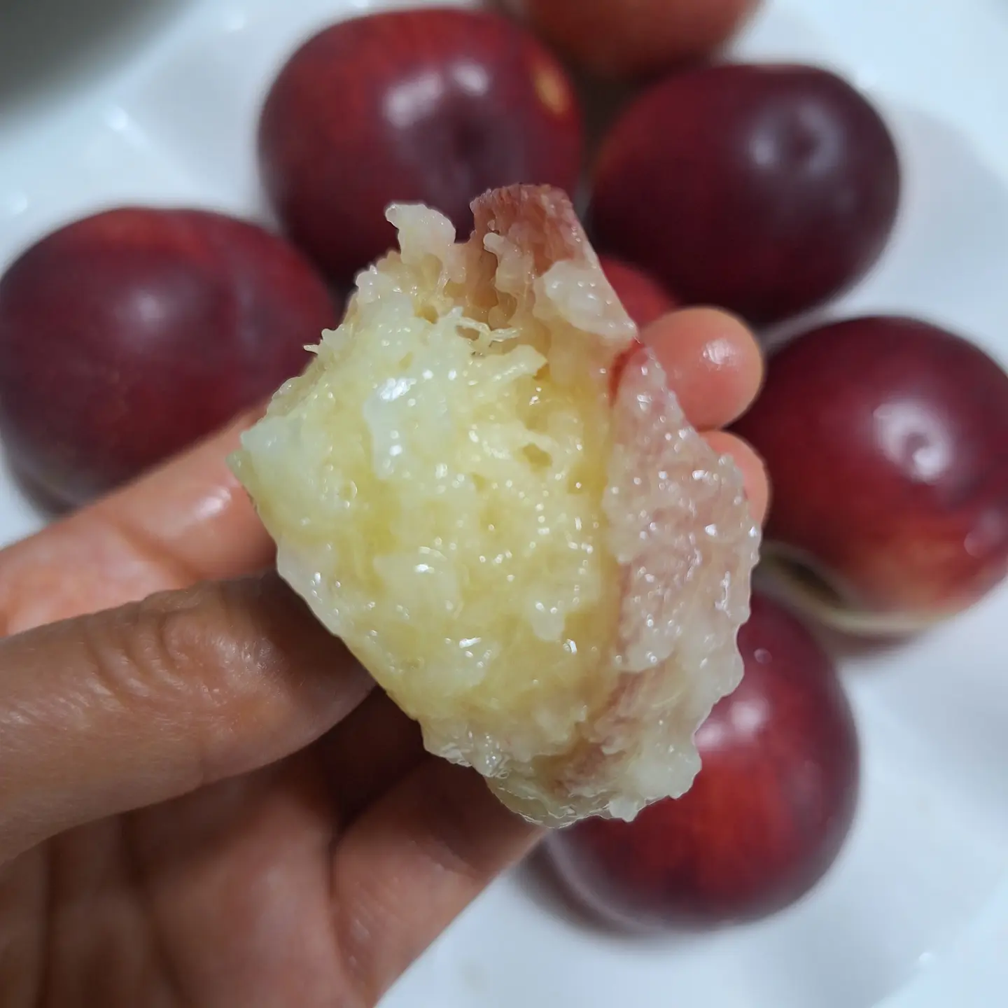 칼 5