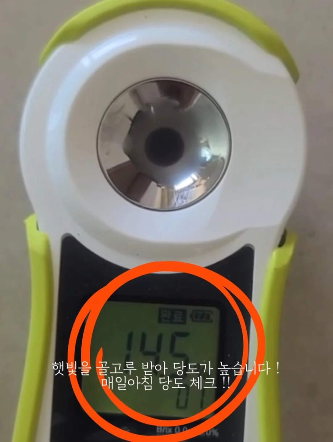 립펜슬 3