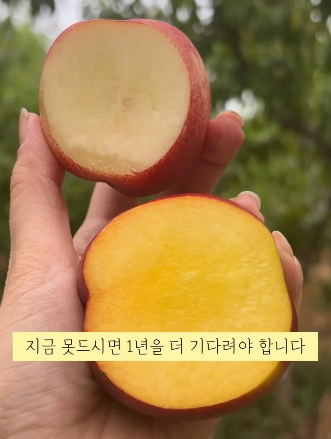 립펜슬 7