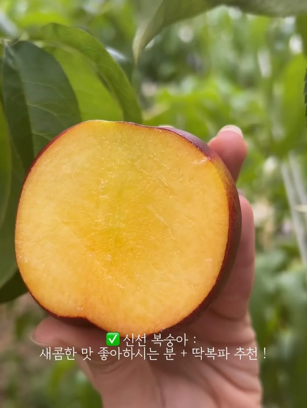 립펜슬 8