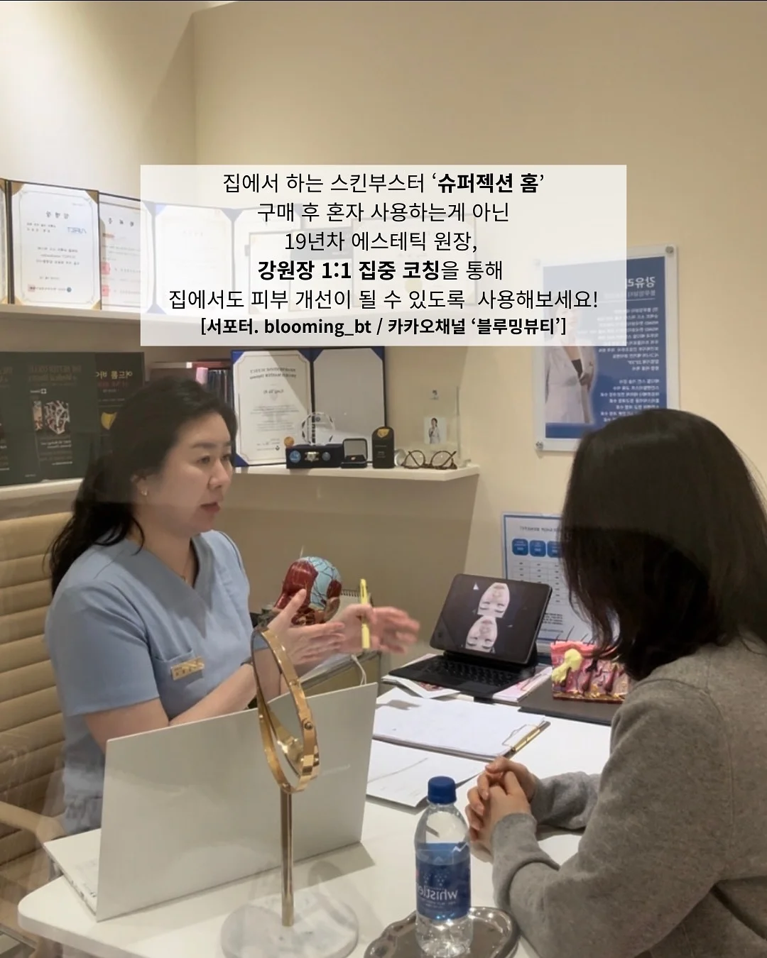 자동 팝업 텐트 11
