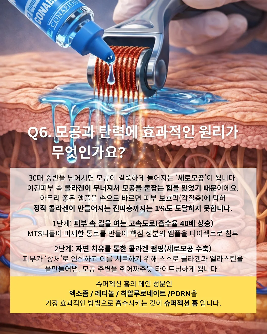 자동 팝업 텐트 7