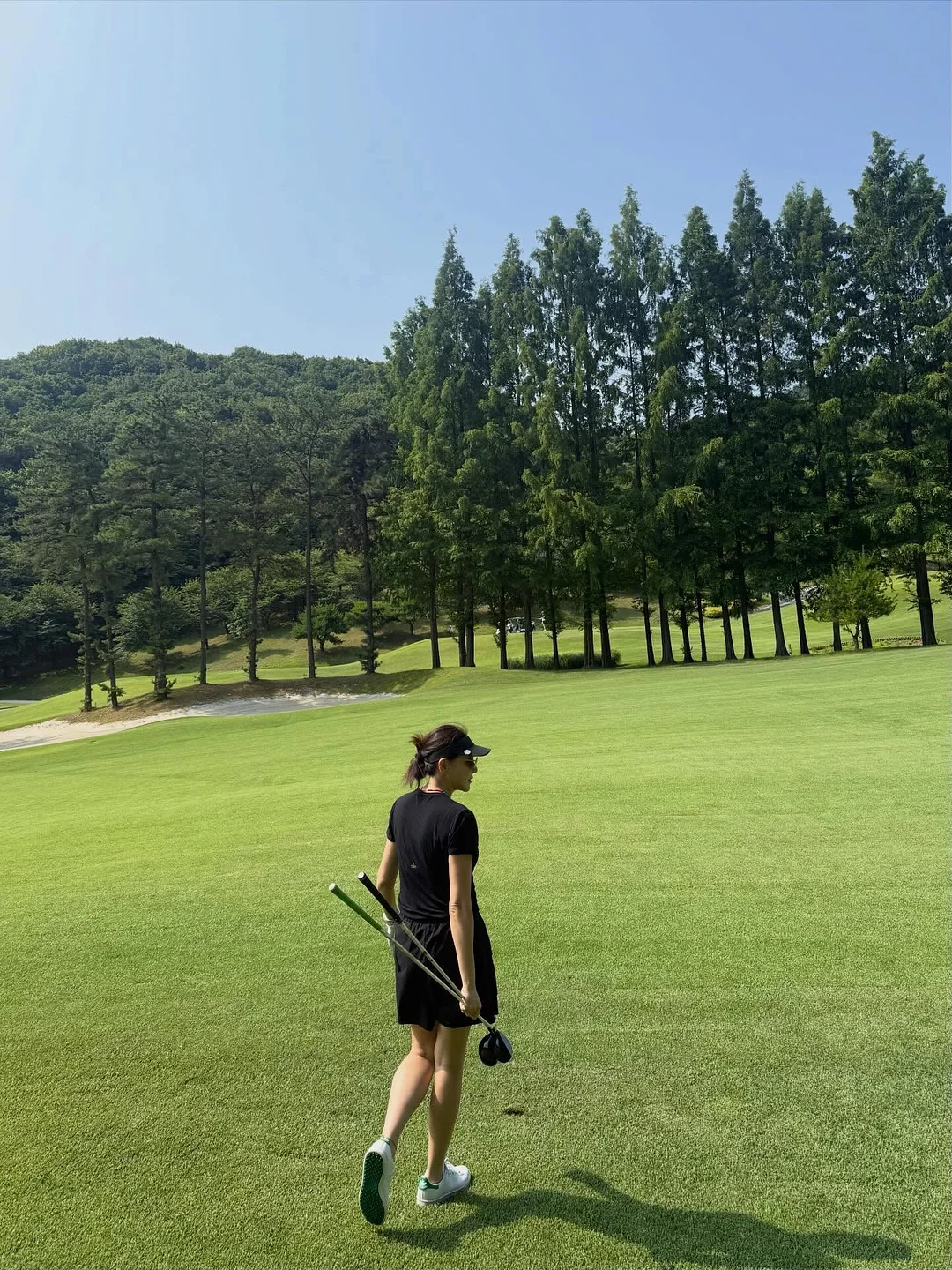 애견 가방 2