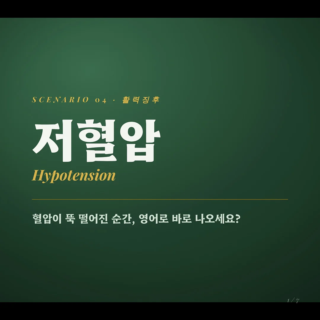 자몽 허니 블랙티 티백 1